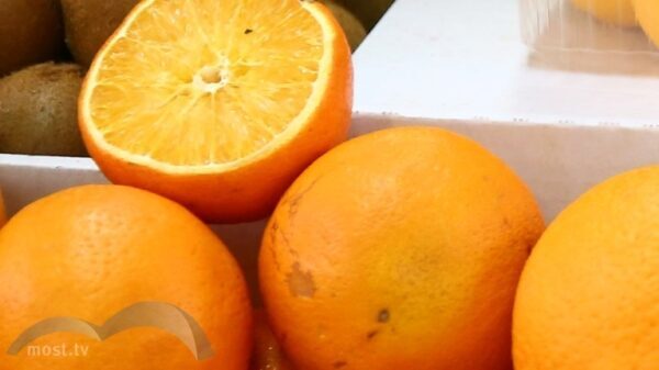 В Липецке резко подешевели апельсины