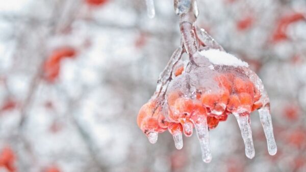 В Нижегородской области пройдет ледяной дождь