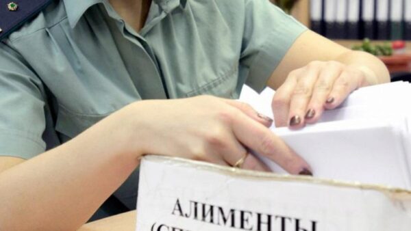 В Нижегородской области за 3 года в пользу детей взыскали более 740 млн рублей алиментов