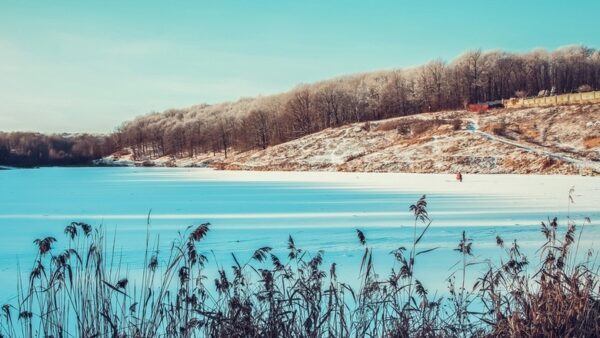 В Нижнем Новгороде утвердили проект планировки Щелоковского хутора