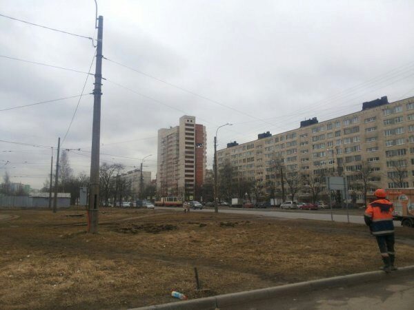 В Петербурге мужчина упал с высоты шестого этажа и выжил