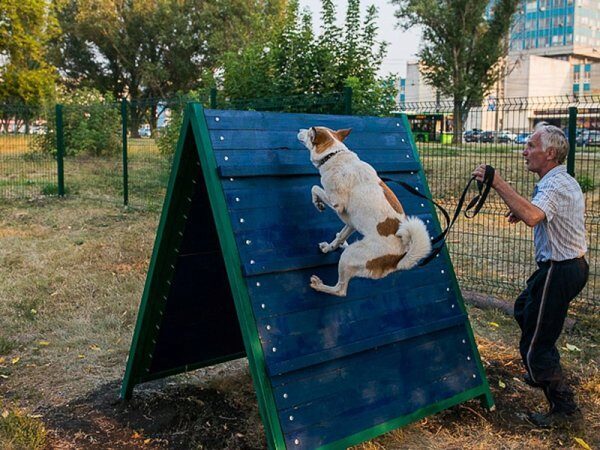 В Ростове-на-Дону открыли 3 новые площадки для собак
