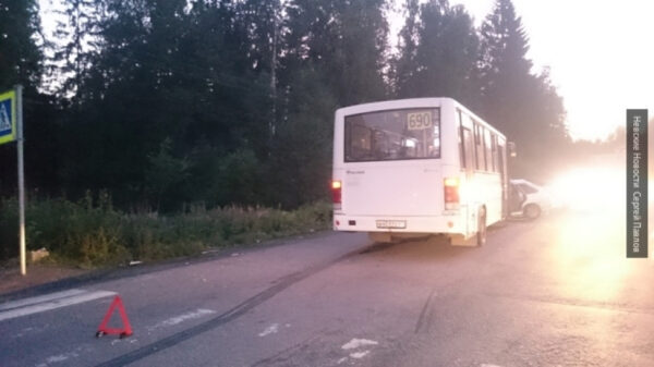 В Брянске шофёр маршрутки сбил на переходе 53-летнюю женщину