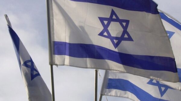 В ФРГ раскритиковали сожжение флагов Израиля в Берлине