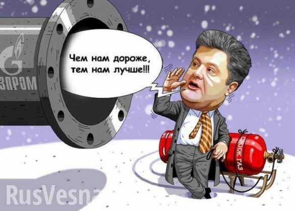 В Госдуме ответили на заявление Порошенко по закупкам российского газа