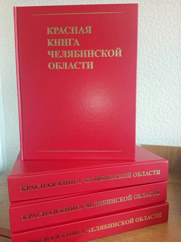 В Красную книгу Челябинской области внесли 74 новых вида растений и животных
