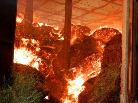 В Самарской области в конце рабочей недели вечером сгорело 10 тонн сена