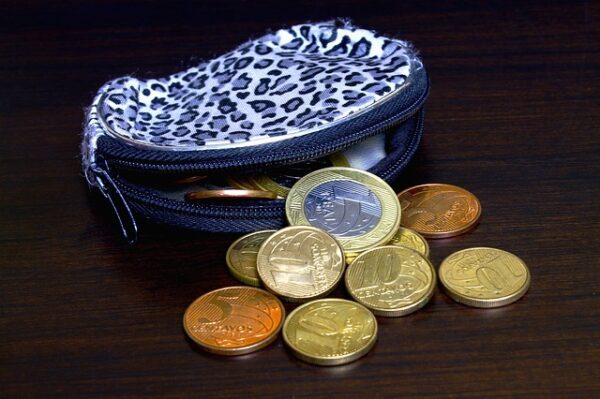 В Ульяновске 24-летняя сотрудница магазина украла кошелек у посетительницы?