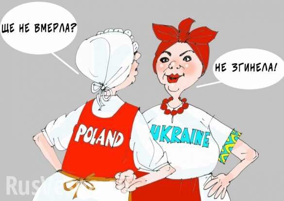 В Варшаве заявили, что Польша спокойно проживет и без Украины, а вот Украина без Польши — вряд ли