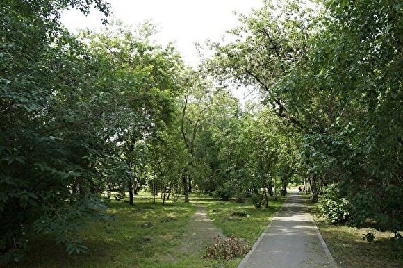 Жители Екатеринбурга согласовали новую схему освещения Основинского парка