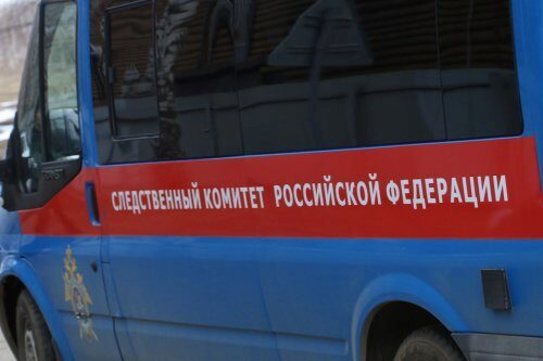 Жительница Нижнего Новгорода зарезала 2-летнего сына