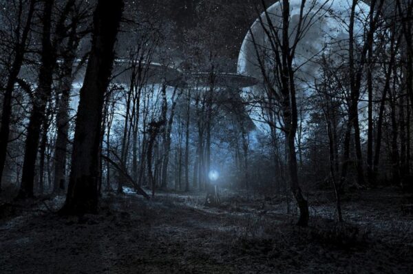 Американец заснял таинственный свет в лесу и отпечатки лап инопланетян на своей двери