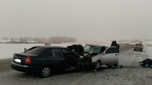 Два человека погибли в ДТП «Лады» и Hyundai в Курганской области