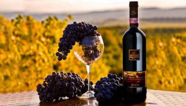 Экспорт итальянского вина в РФ стал рекордным в 2017 году