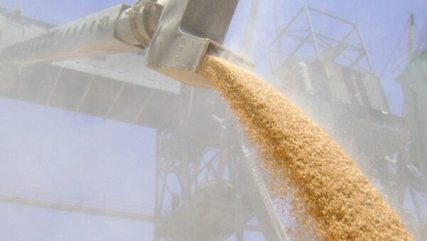 Экспорт зерна из России в 2018 может достигнуть 47 млн тонн