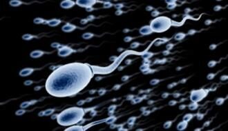 Генетики из США разрабатывают искусственные сперматозоиды