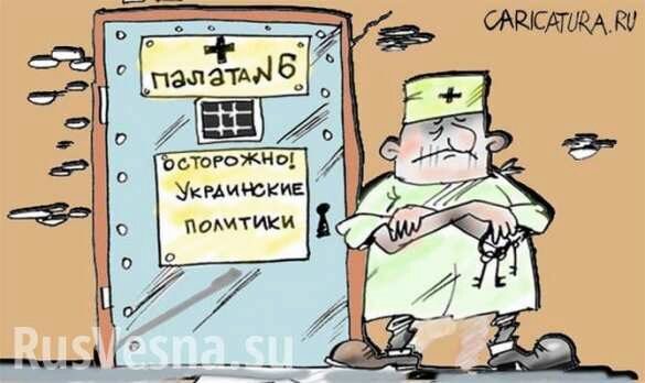 «Гройсман должен находиться в психбольнице» — в Крыму ответили на предложение передать полуостров Украине