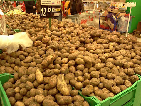 Из-за плохой погоды в России картофель за год подорожал на четверть