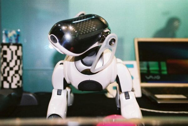 Компания Sony представила собаку-робота c искусственным интеллектом