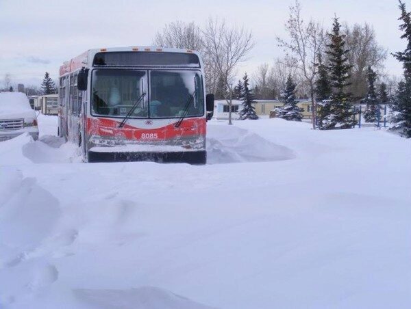 На Урале водитель автобуса высадил школьника за 3,5 км от дома ради экономии горючего