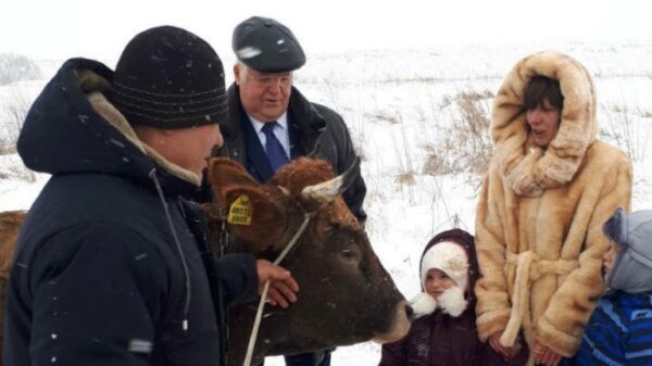 Николай Борцов вручил корову многодетной семье