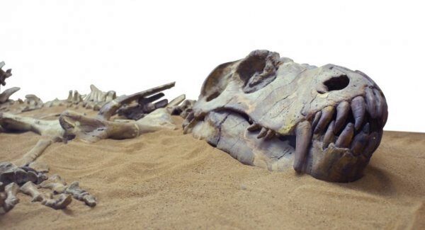 Палеонтологи нашли в Египте останки скелета титанозавра