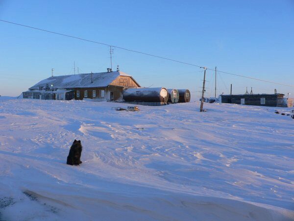 Первый музей на полярной станции будет создан из старых построек