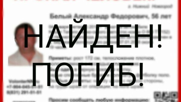 Пропавшего в Богородском районе 56-летнего Александра Белого нашли погибшим