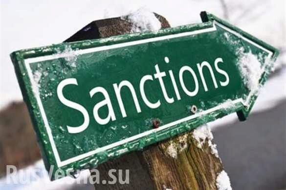 Санкции против России вредят Западу, — глава Adidas