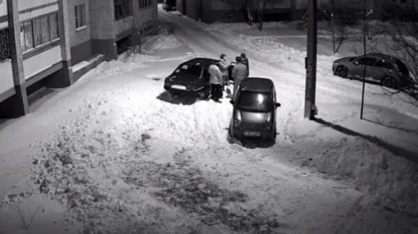 Соседи подрались из-за расчищенного от снега парковочного места (видео)