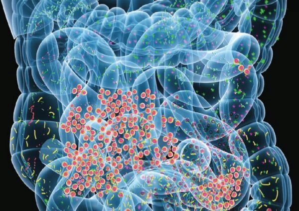 Учёные: Бактерии кишечника контролируют активность генов
