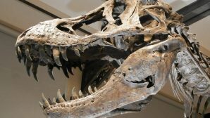 Учёные: Динозавры вымерли из-за столкновения карликовых планет?