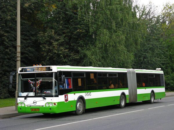 В брянском автобусе пенсионерка получила травму груди