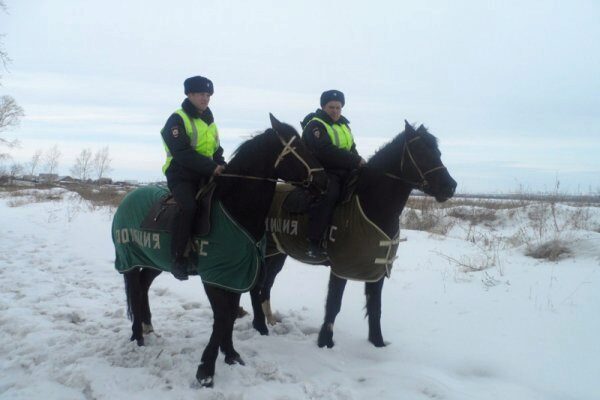 В Красноярском крае конные полицейские догнали убежавшего в лес мужчину