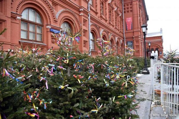 В Москве открыли 12 пунктов по утилизации новогодних елок
