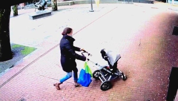 В Нидерландах дерево рухнуло на женщину с ребенком в коляске