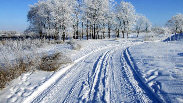 В Нижегородской области ночью 6 января ожидаются морозы до -13 градусов