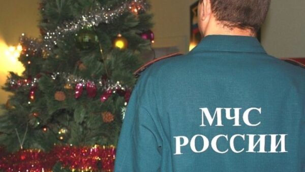 В России не зафиксировано ЧС во время встречи Нового года