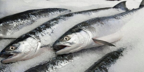 В Смоленск не пустили 14 тонн испорченной рыбы