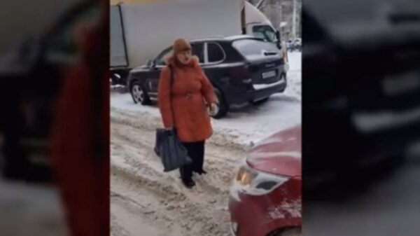 Женщина парализовала движение, перекрыв собой дорогу (видео)