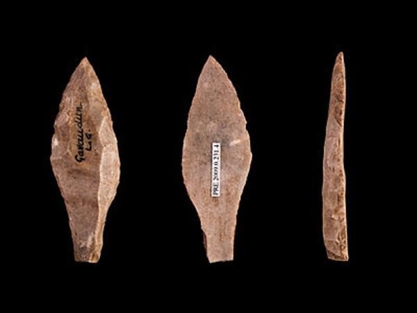 Археологи нашли необычные орудия предков людей в Индии возрастом 400 тысяч лет