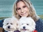 Барбра Стрейзанд дважды клонировала свою любимую умершую собаку