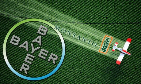 Bayer подал на ФАС в суд из-за требований по закупке Monsanto