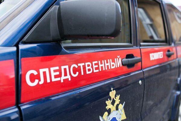 На Ямале во время заготовки дров под деревом погиб 3-летний ребенок