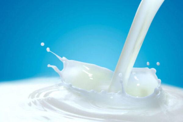 Новые правила маркировки продуктов из молока введут в РФ летом