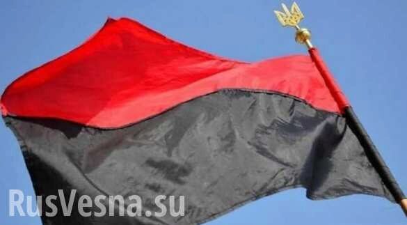 Под Ивано-Франковском «украинские патриоты» заставили поляка поднять бандеровский флаг (ВИДЕО)