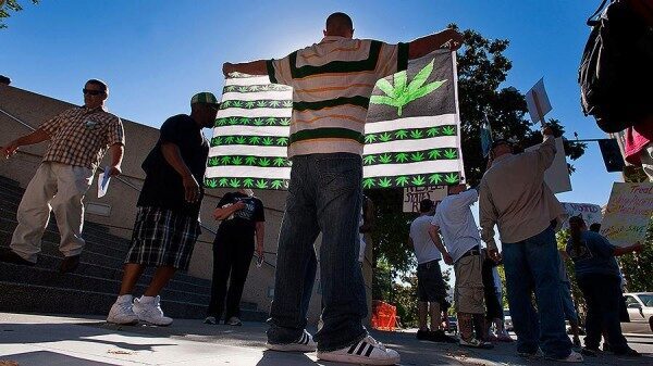 Рекордное количество американцев поддерживает легализацию марихуаны