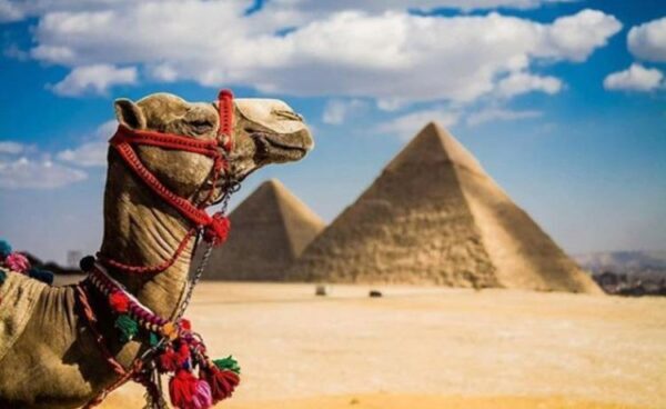 Ростуризм запретил возить туристов по Египту самолетами