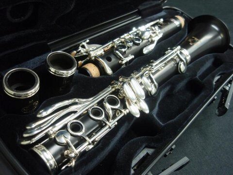 Саратовская филармония купит кларнет за 380 тысяч рублей