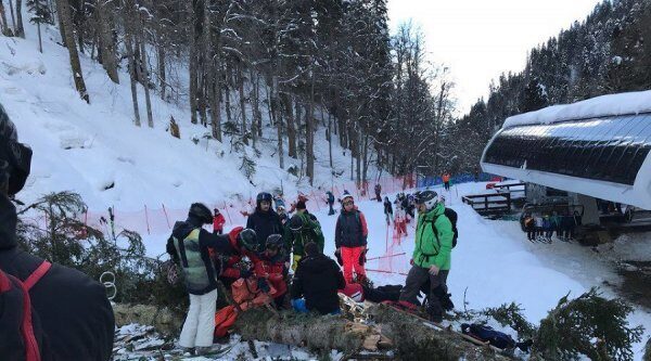 Сноубордистку придавило упавшей сосной на спуске в Сочи